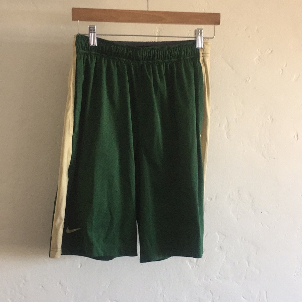 Vintage Nike dri-fit green athletic shorts